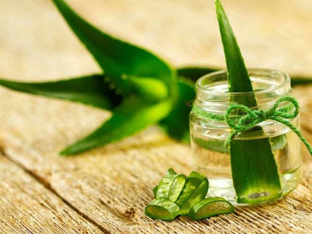 receitas de medicina tradicional para o tratamento de varices